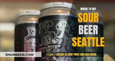 Sour Beer Haven: Top Spots in Seattle