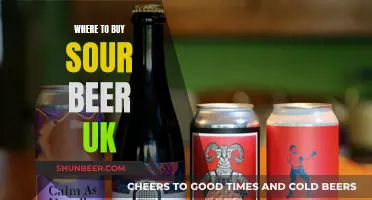 UK Sour Beer: Top Sources for Craft Lovers