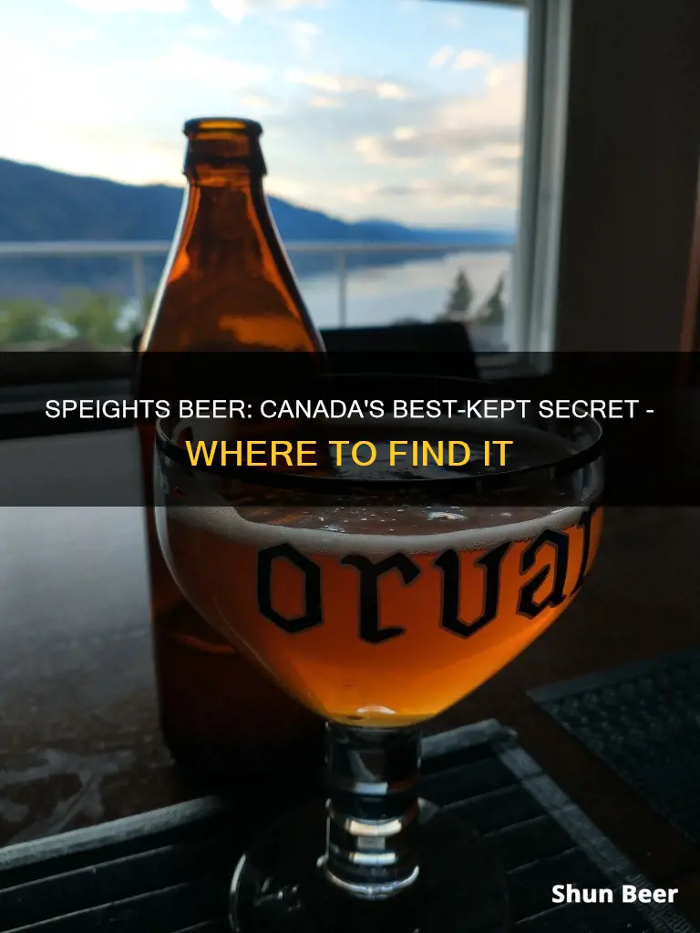 where to buy speights beer in canada