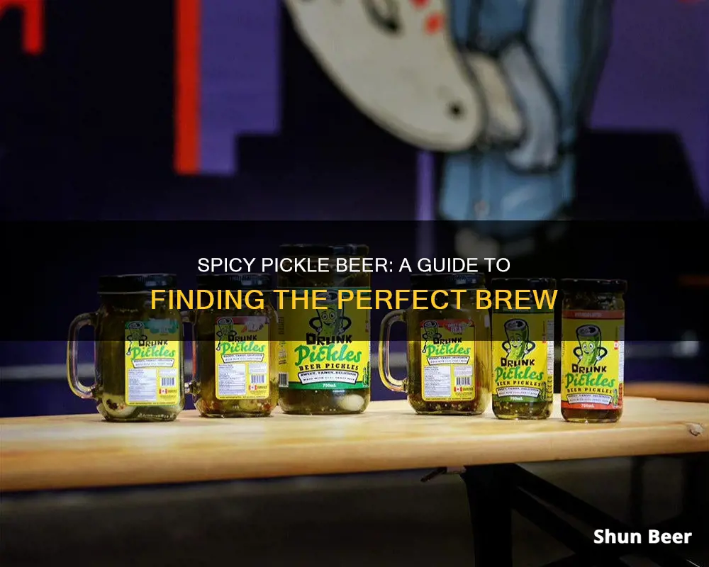 where to buy spicy pickle beer