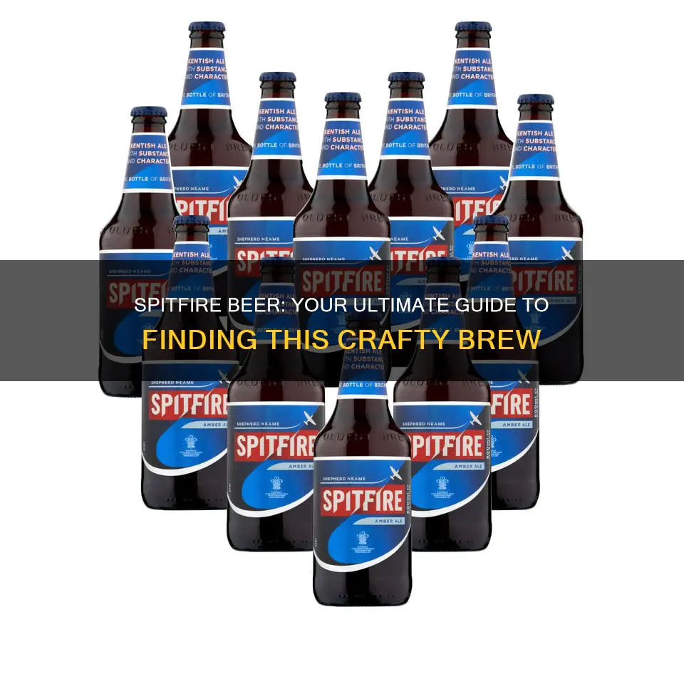 where to buy spitfire beer