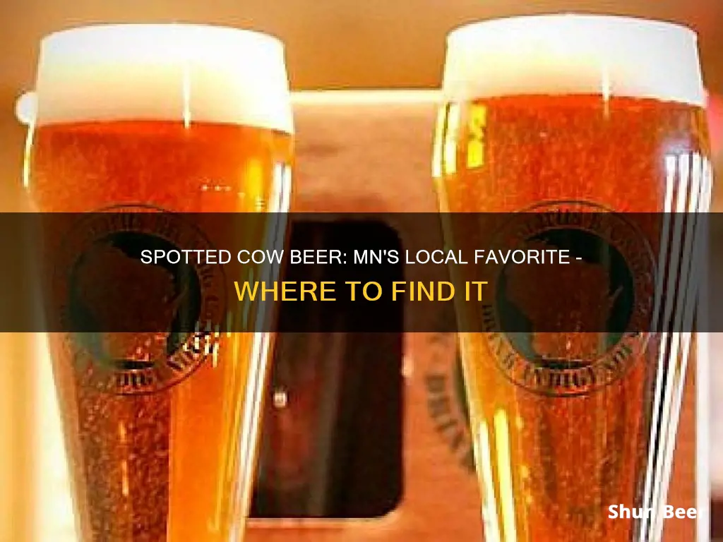 where to buy spotted cow beer in mn