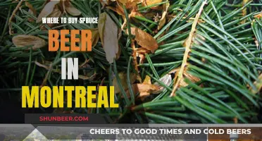 Spruce Beer in Montreal: Top Spots to Find This Unique Brew