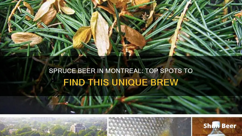 where to buy spruce beer in montreal