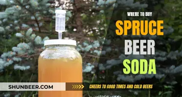 Spruce Beer Soda: Discover the Best Sources for Your Unique Beverage