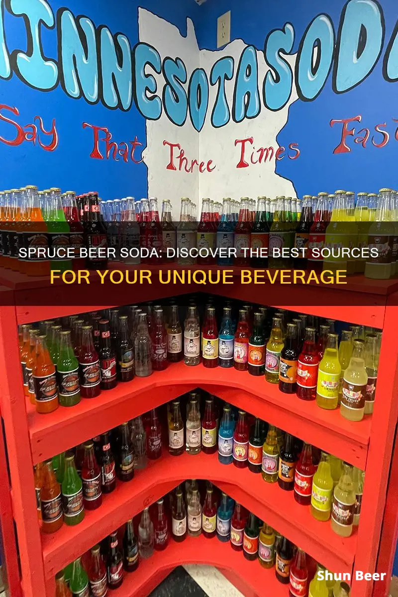 where to buy spruce beer soda