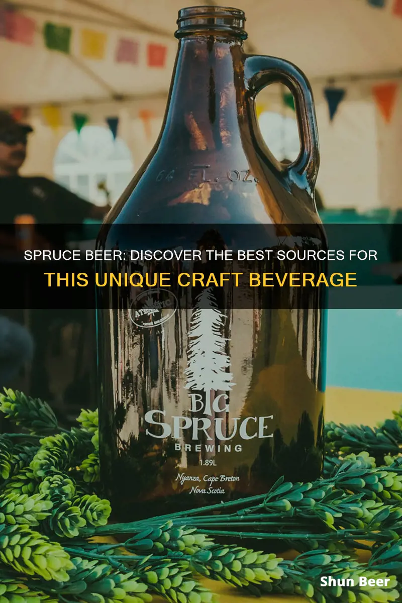 where to buy spruce beer