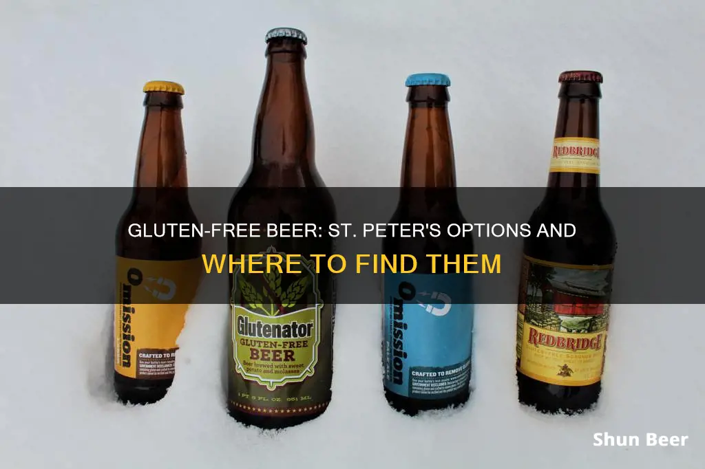 where to buy st peters gluten free beer