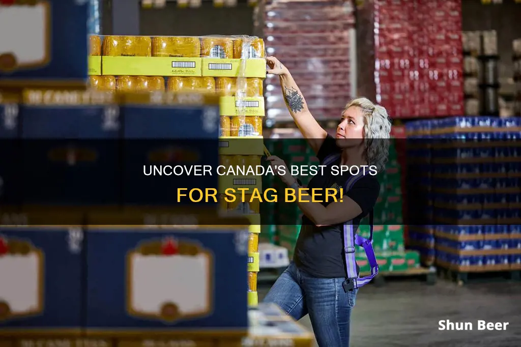 where to buy stag beer in canada