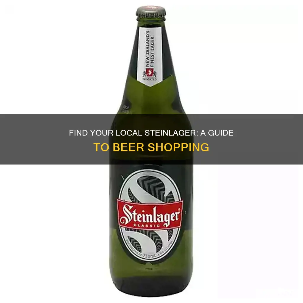 where to buy steinlager beer