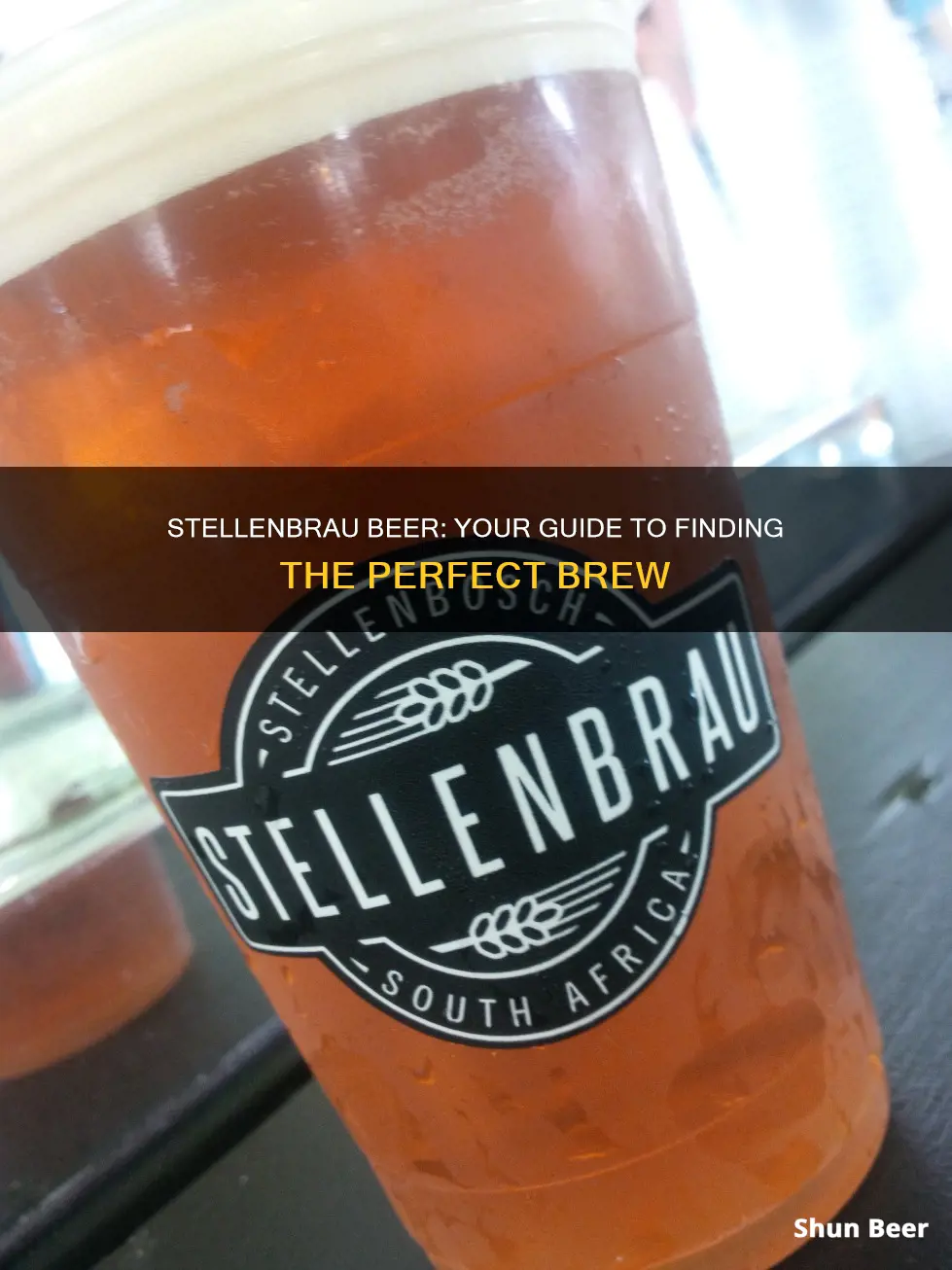 where to buy stellenbrau beer