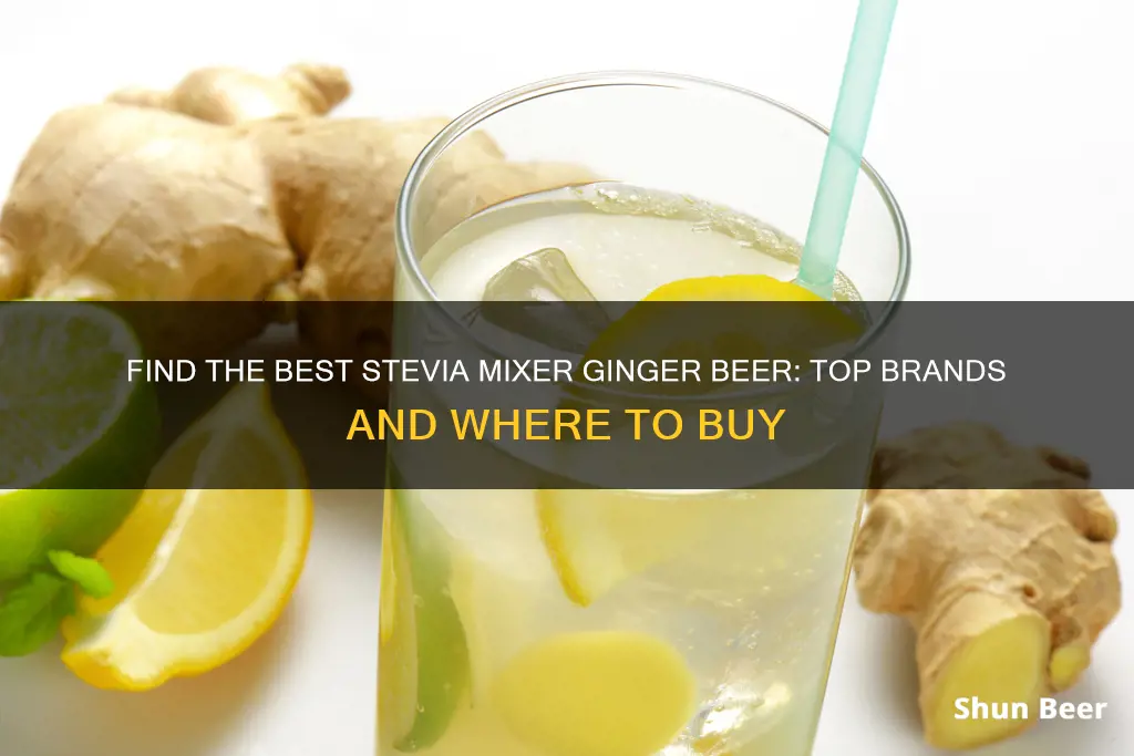 where to buy stevia mixer ginger beer