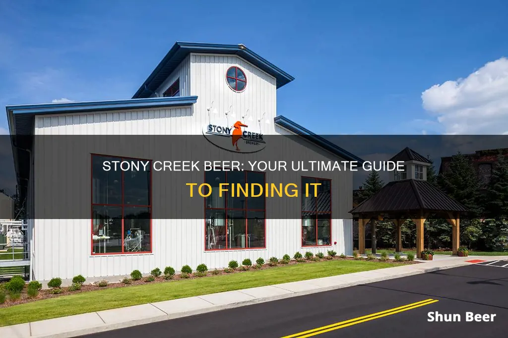 where to buy stony creek beer