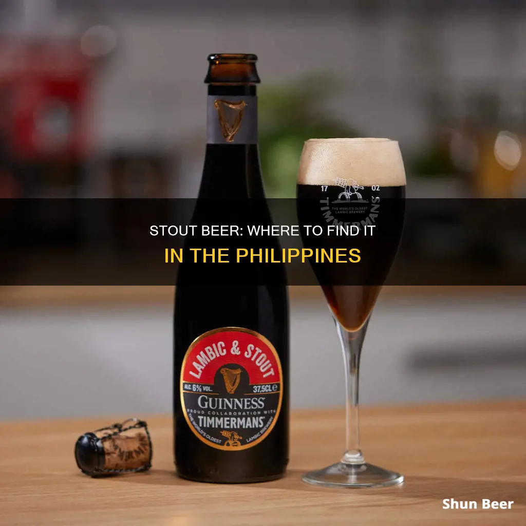 where to buy stout beer in philippines