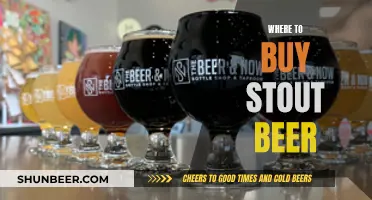 Stout Beer: Top Breweries and Retailers for Your Next Purchase