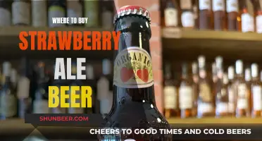 The Best Breweries for Strawberry Ale Beer