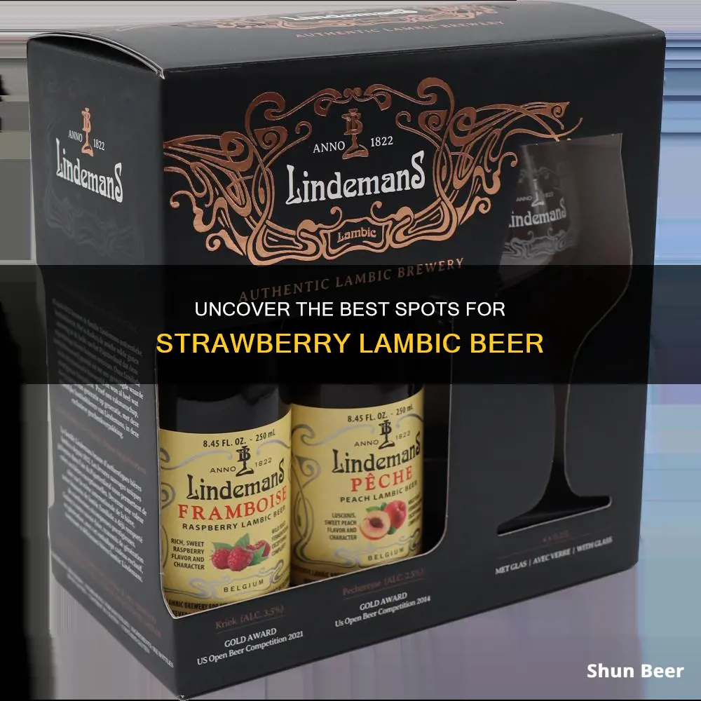 where to buy strawberry lambic beer