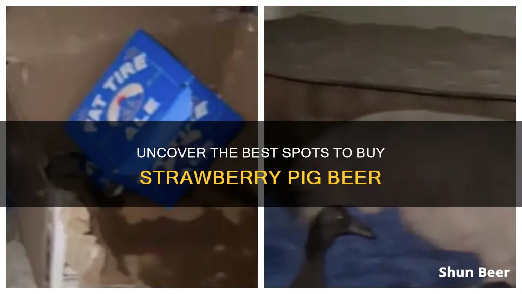 where to buy strawberry pig beer