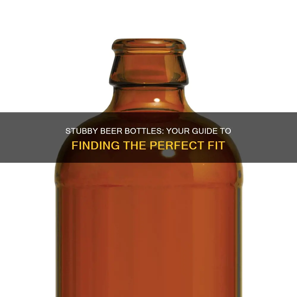 where to buy stubby beer bottles