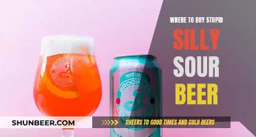 Stupid Silly Sour: Your Guide to Finding This Unique Brew