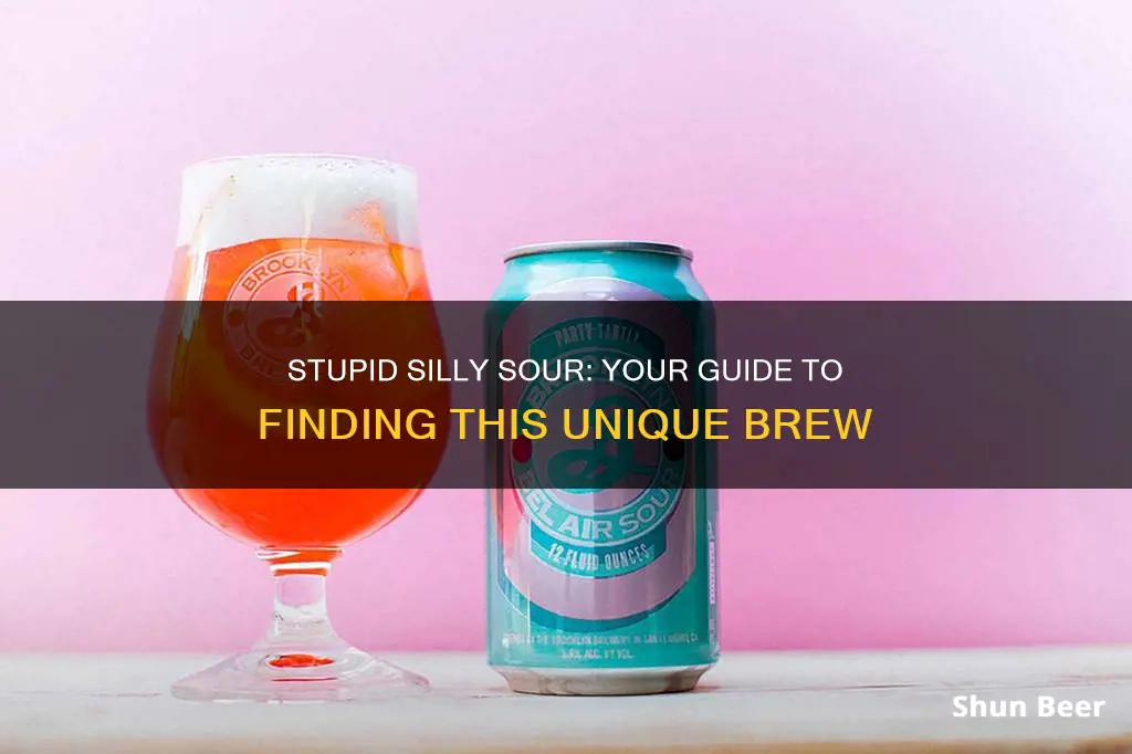 where to buy stupid silly sour beer