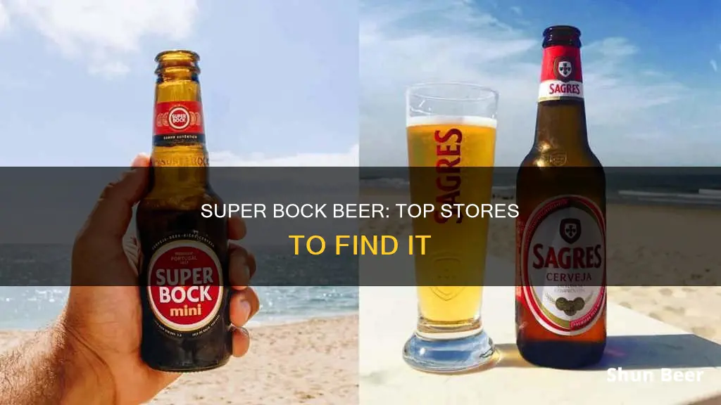 where to buy super bock beer