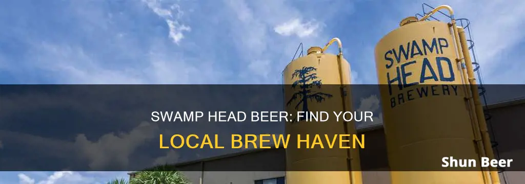 where to buy swamp head beer