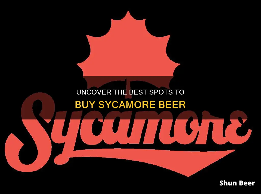 where to buy sycamore beer