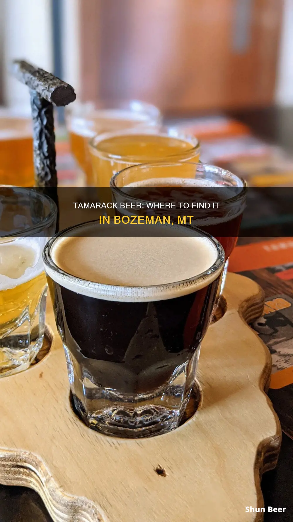 where to buy tamarack beer in bozeman mt