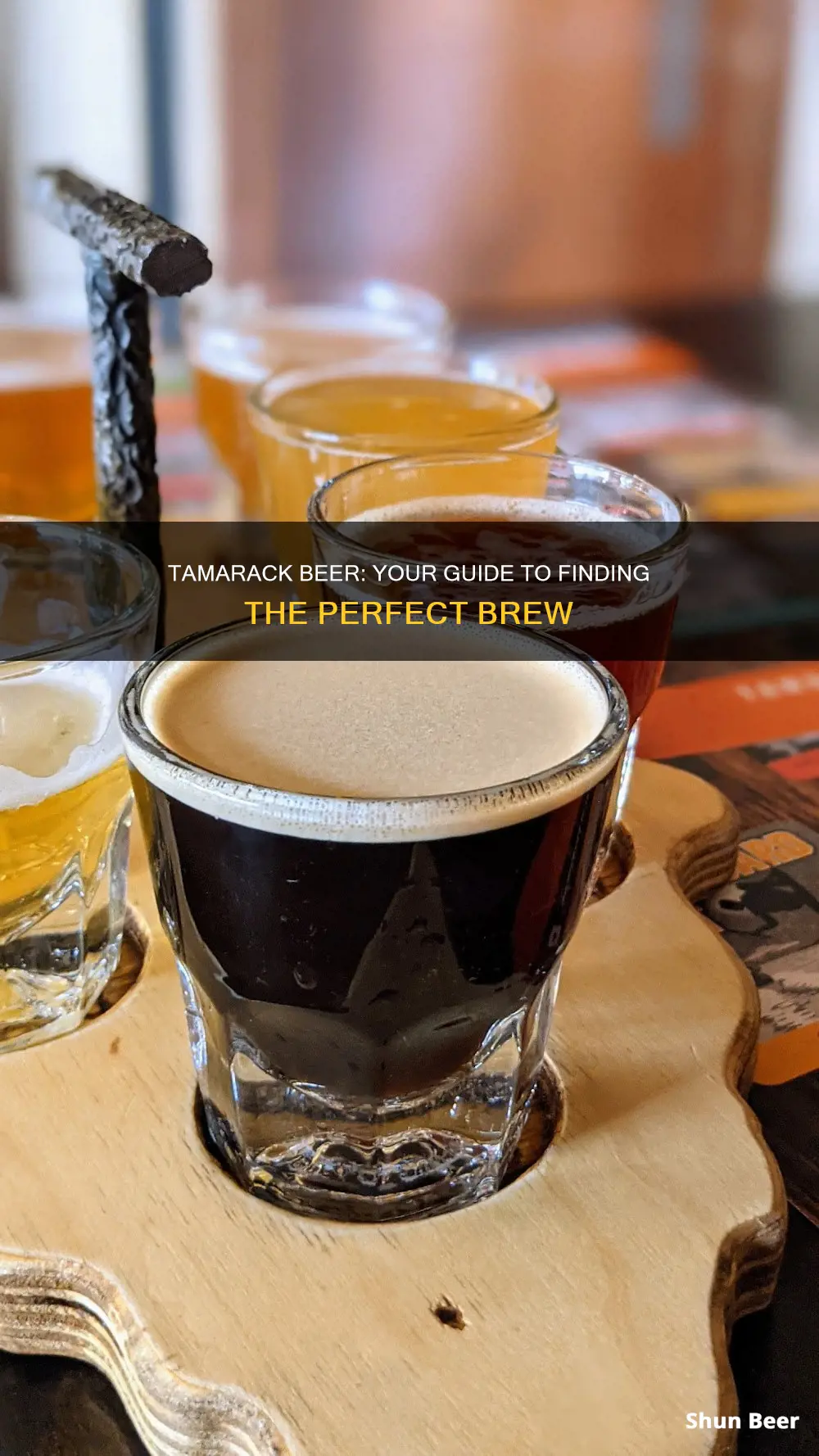 where to buy tamarack beer