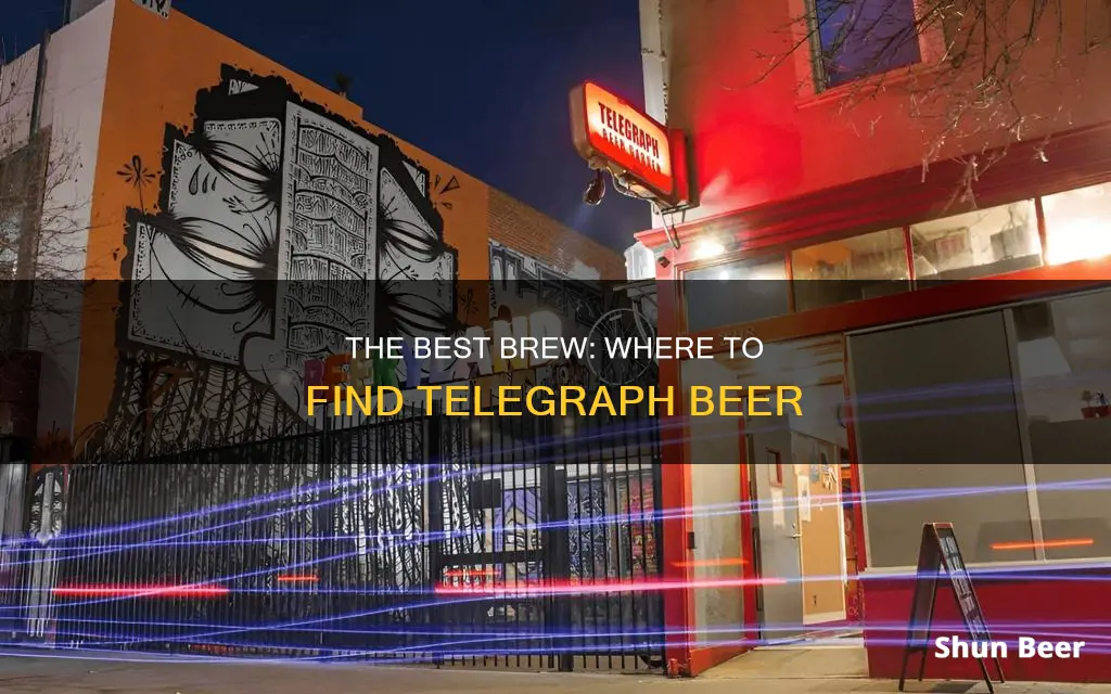 where to buy telegraph beer