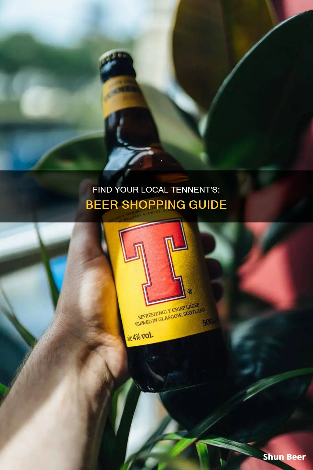 where to buy tennent