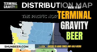 Terminal Gravity Beer: Your Ultimate Buying Guide