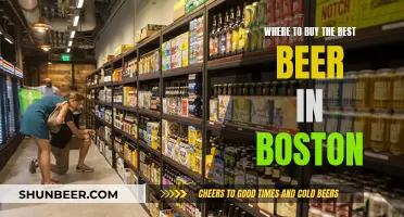 Boston's Best Brews: Top Spots for Craft Beer Lovers