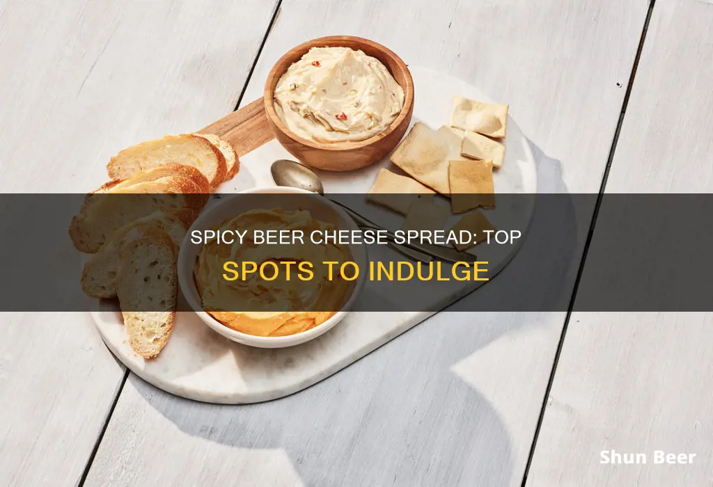 where to buy the best spicy beer cheese spread