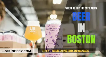 Boston's Best: Where to Find the Cat's Meow Beer