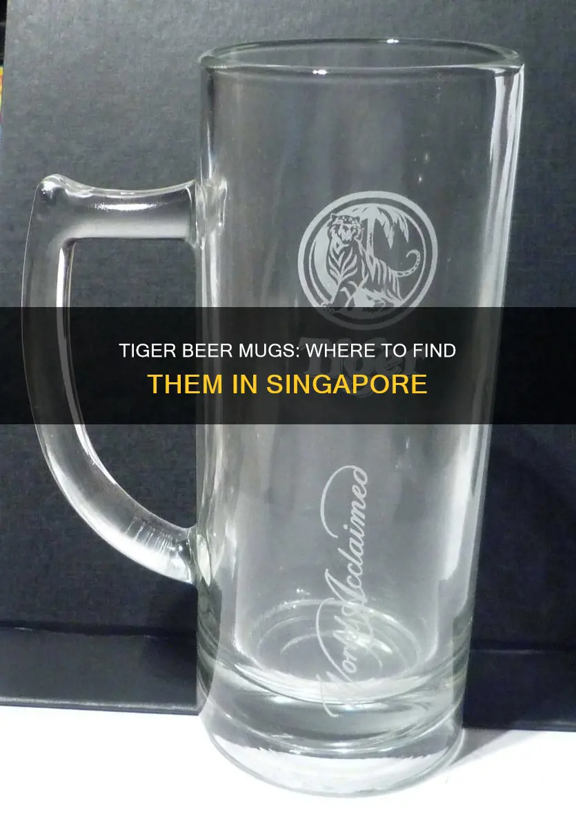 where to buy tiger beer mugs in singapore