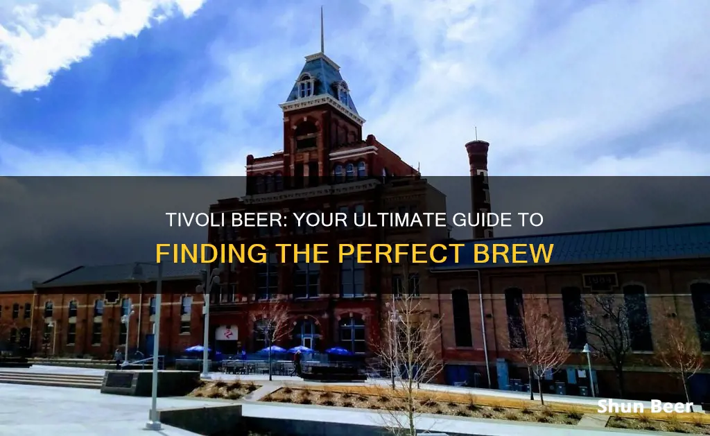 where to buy tivoli beer