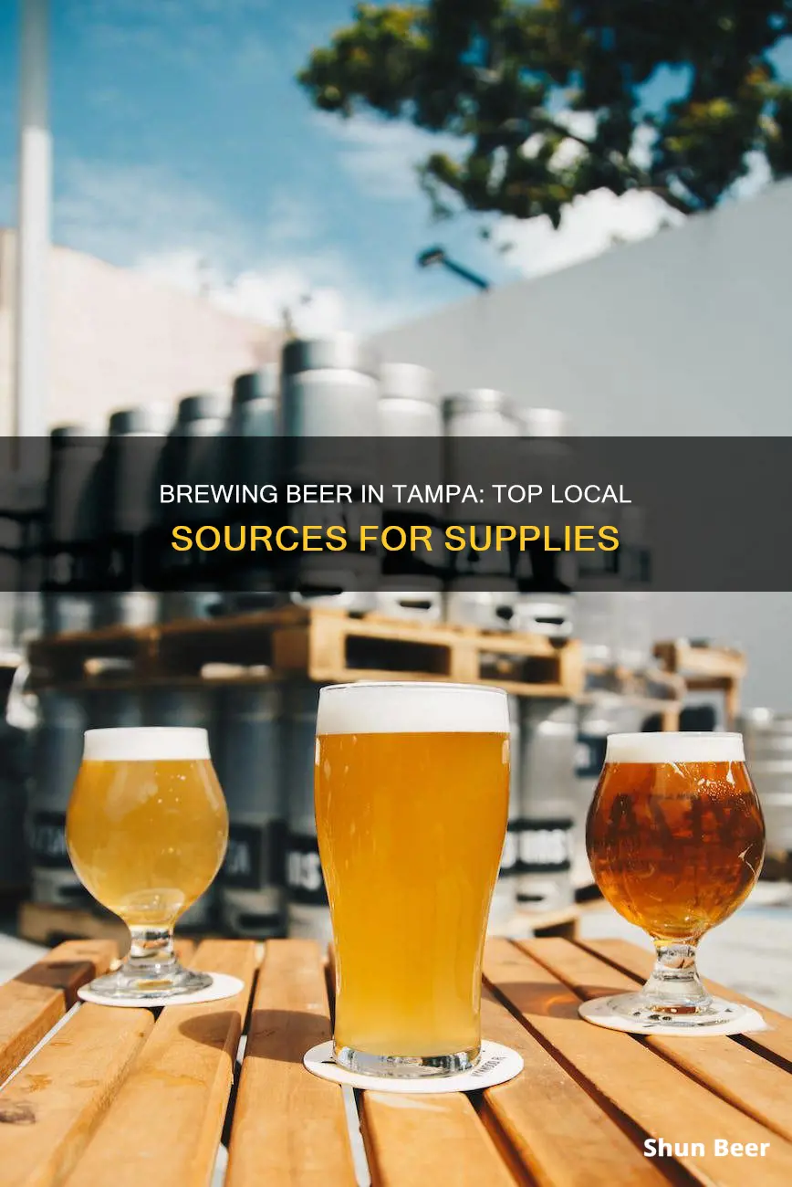 where to buy to make beer in tampa