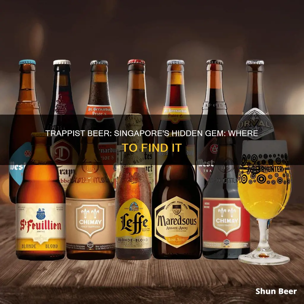 where to buy trappist beer in singapore