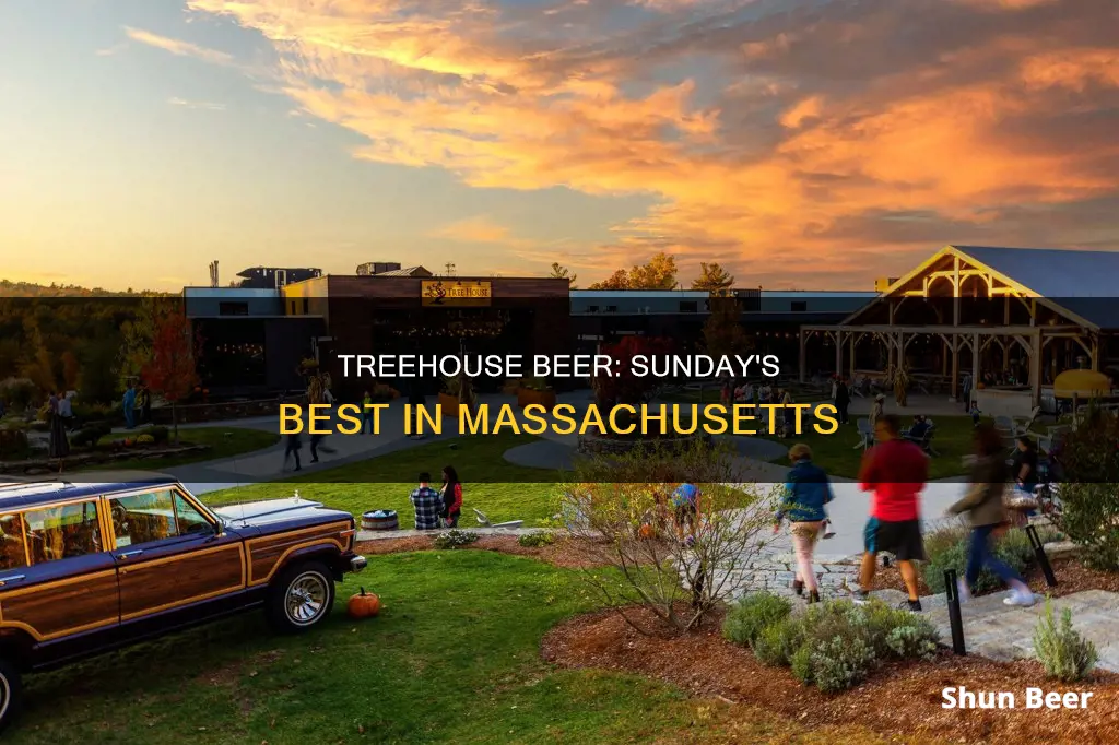 where to buy treehouse beer in massachusetts on sunday