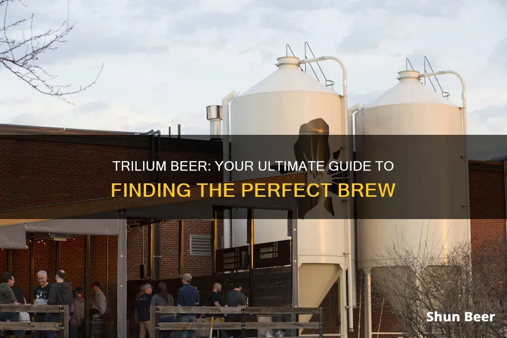 where to buy trilium beer