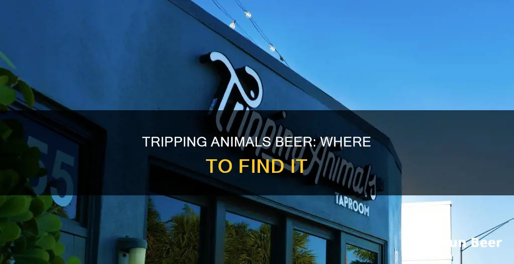 where to buy tripping animals beer