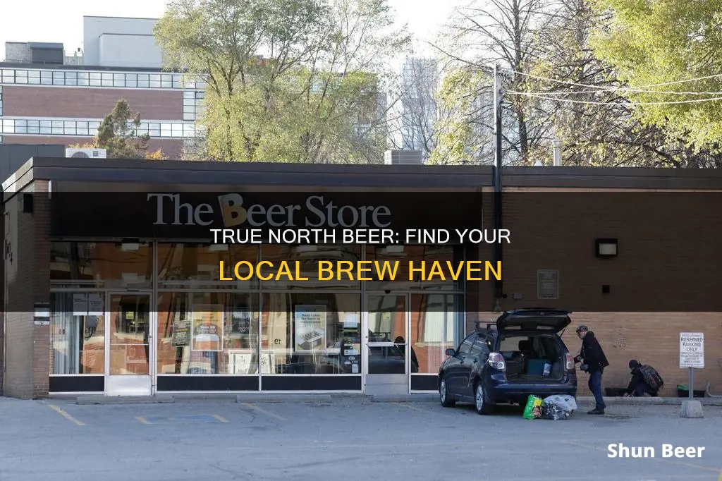 where to buy true north beer