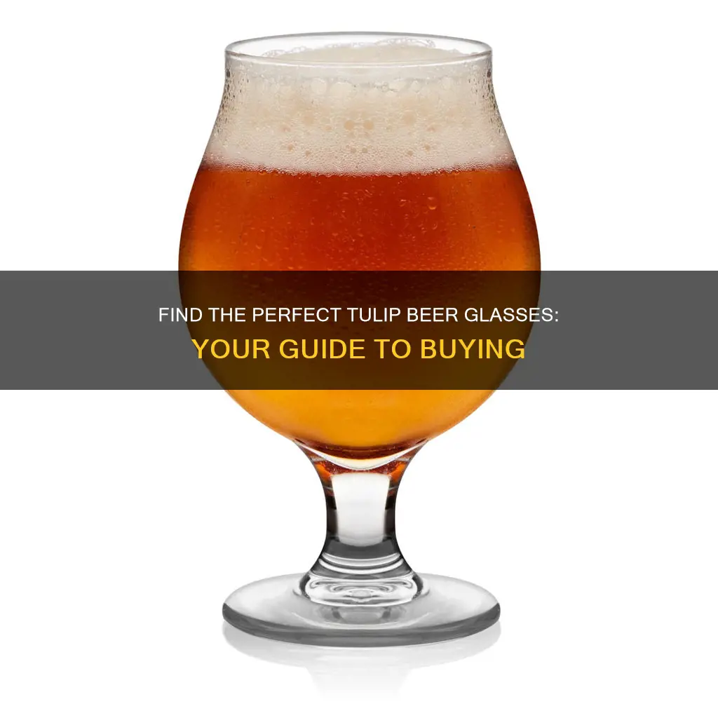 where to buy tulip beer glasses