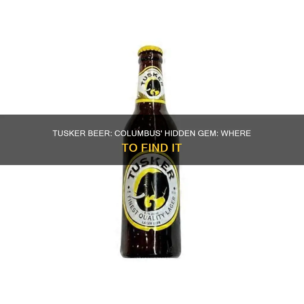 where to buy tusker beer in columbus ohio