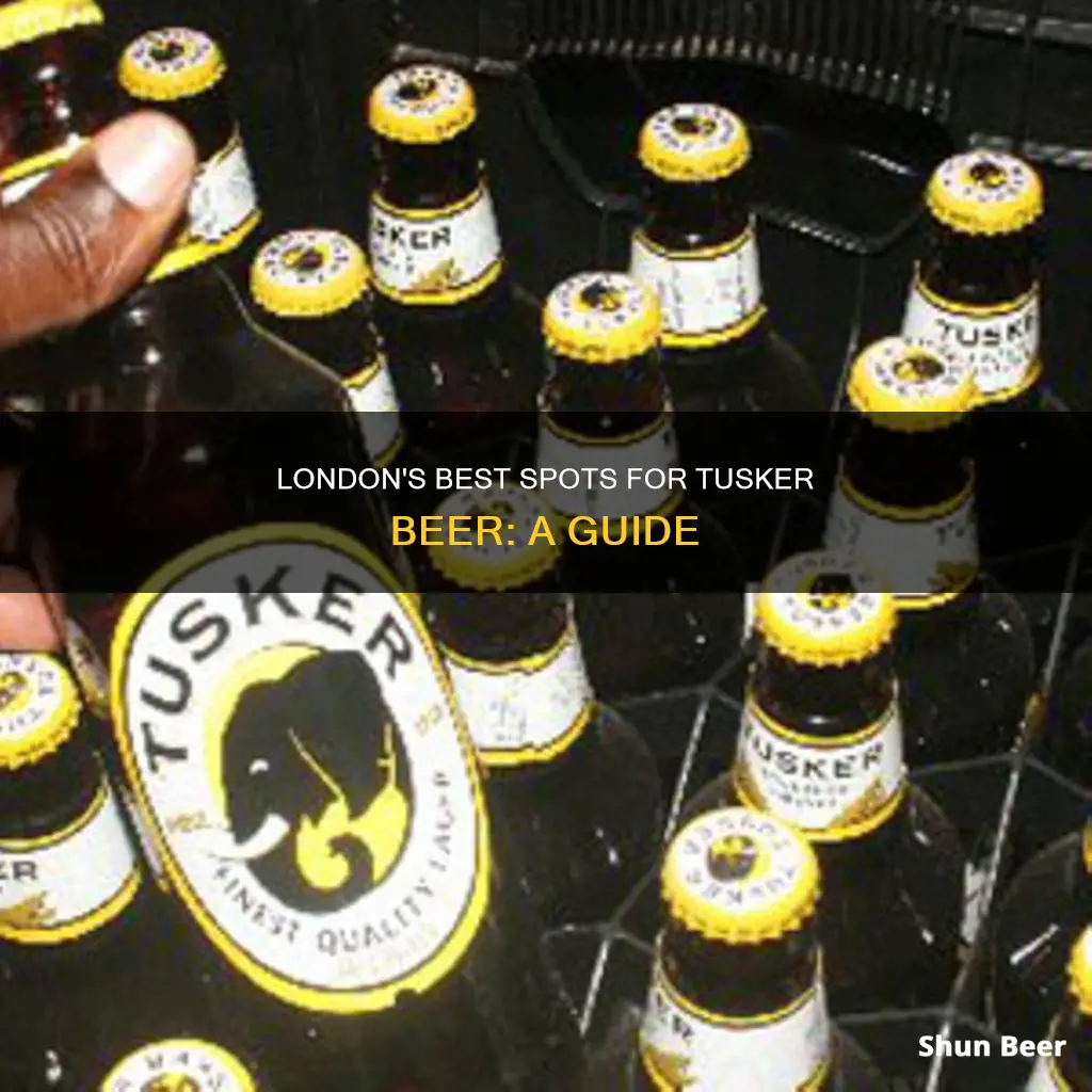 where to buy tusker beer in london