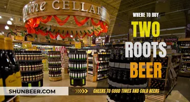 Craft Beer Enthusiast's Guide: Where to Find Two Roots Beer