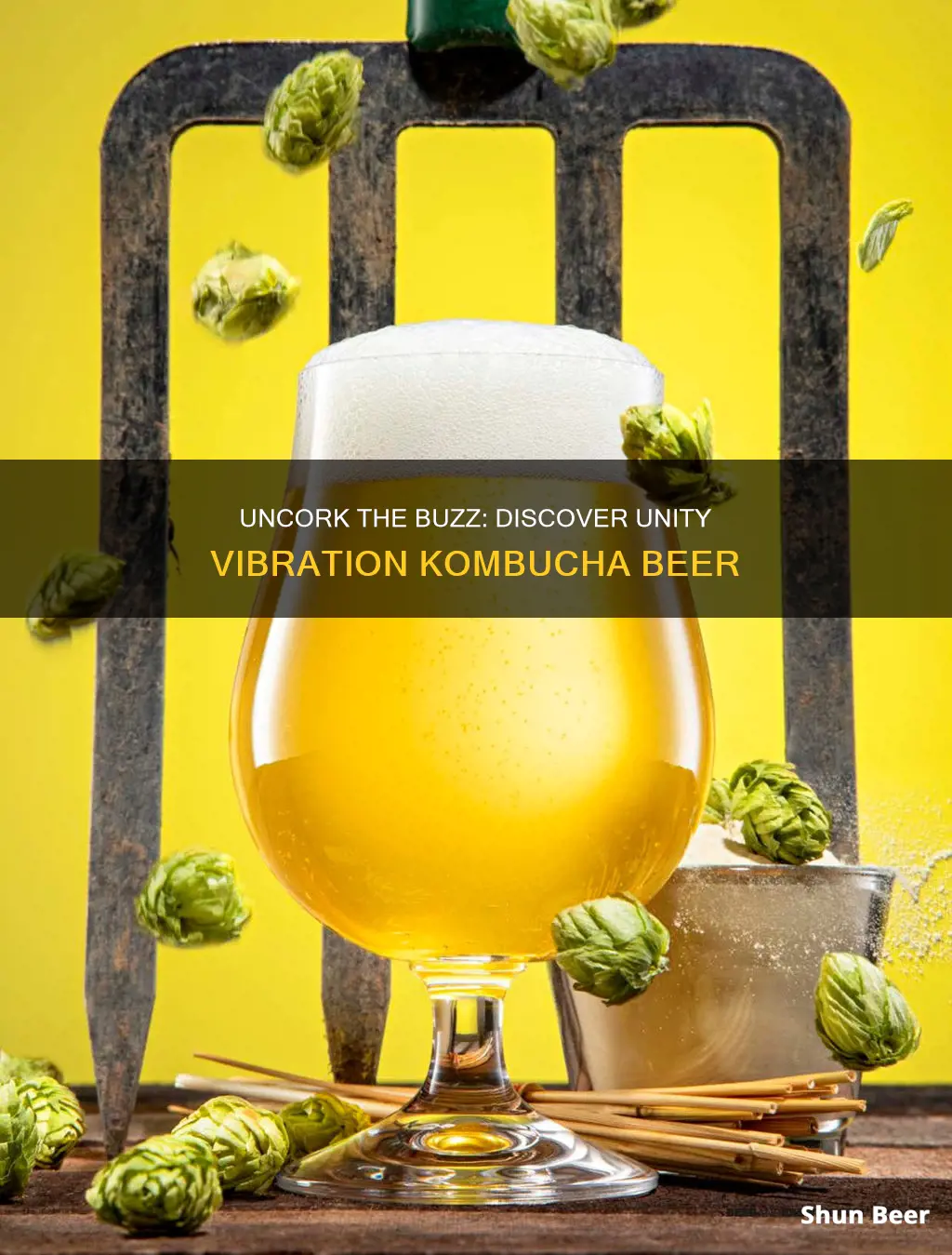 where to buy unity vibration kombucha beer