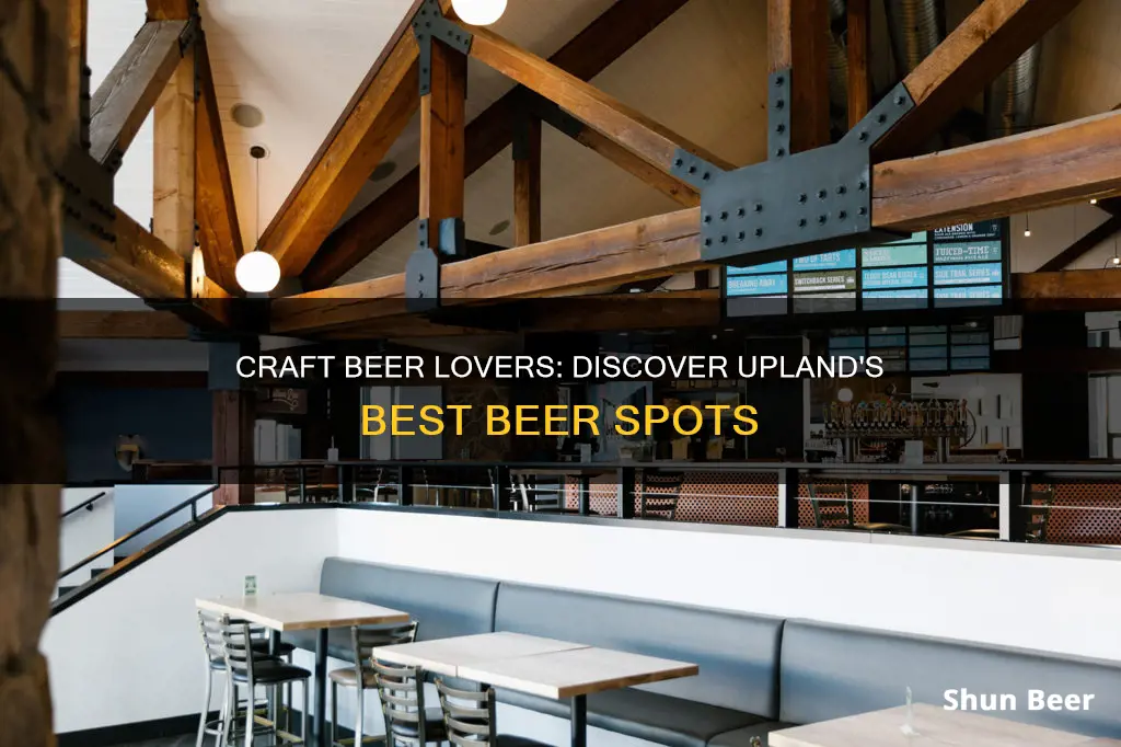 where to buy upland beer